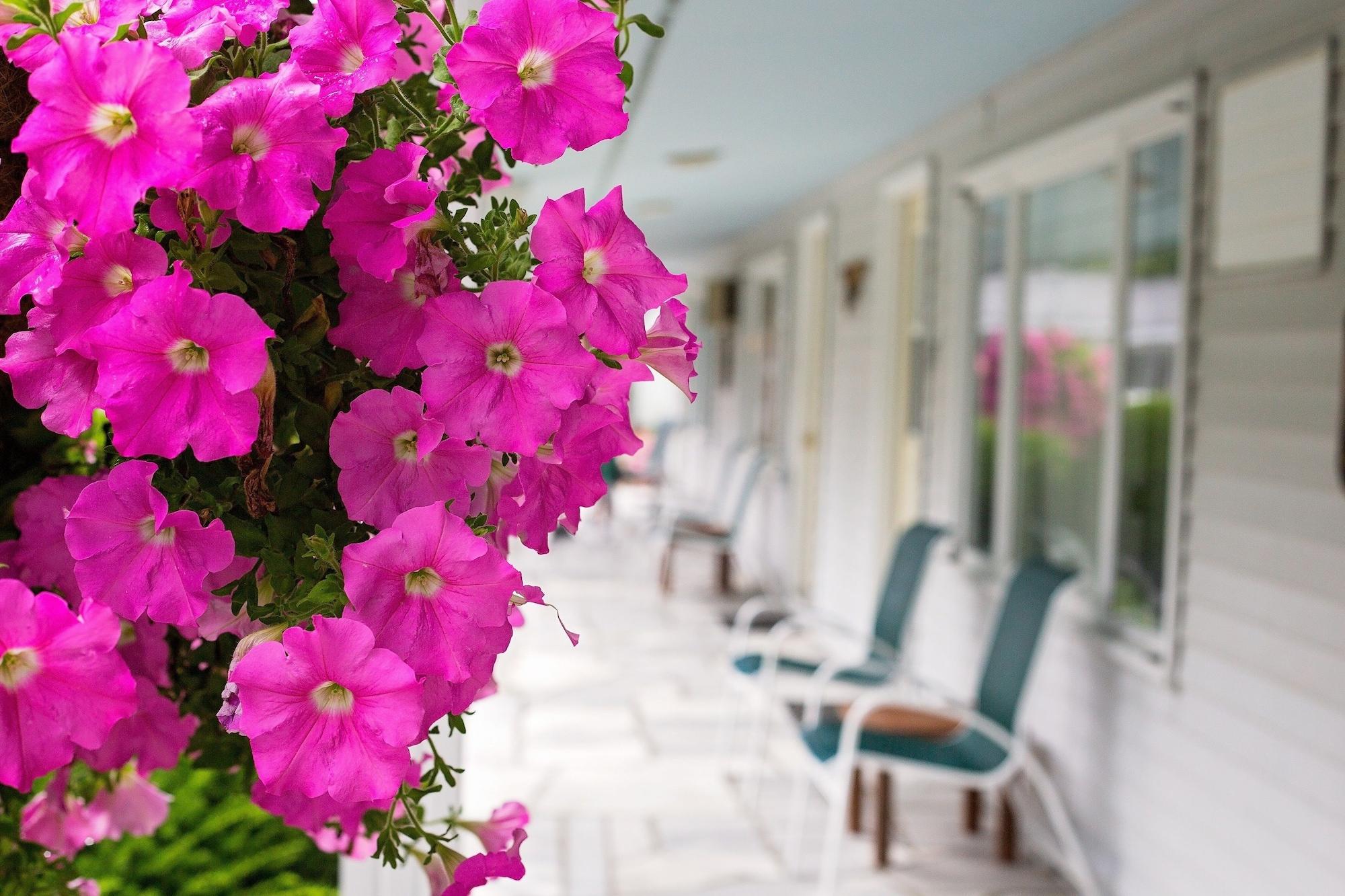 The Palmer House Resort, Ascend Hotel Collection Manchester Eksteriør billede